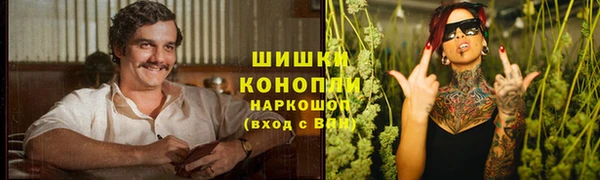 прущие крисы Дмитровск