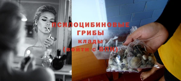прущие крисы Дмитровск