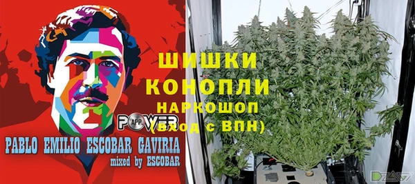 прущие крисы Дмитровск