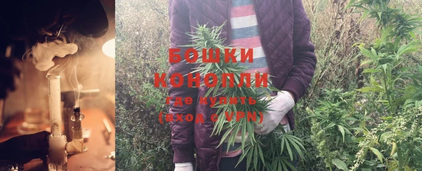 гидра Лиски
