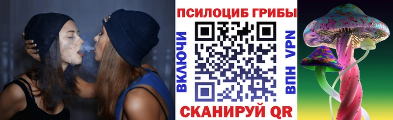 Галлюциногенные грибы Psilocybine cubensis  OMG ССЫЛКА  Заозёрск 